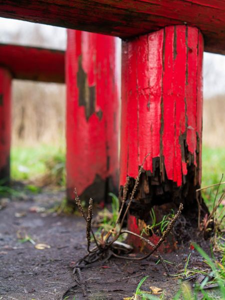 Cost of Rotten Column Replacement in Salinas